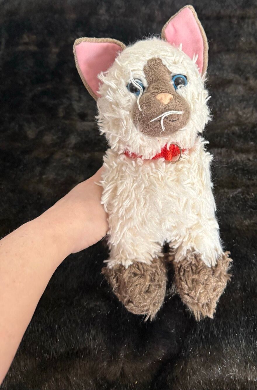 Build A Bear Siamese Himalayan Ragdoll Cat Plush Stuffed Promise Pet BABW Collar